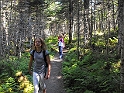 NFLD_drive_to_and-viking_settlement 091
